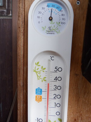 ６月～１０月