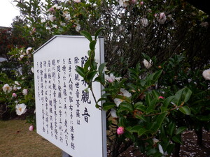 秋の花