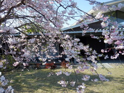 4月5月の暮らし