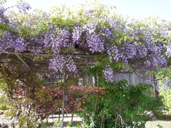 4月5月の暮らし